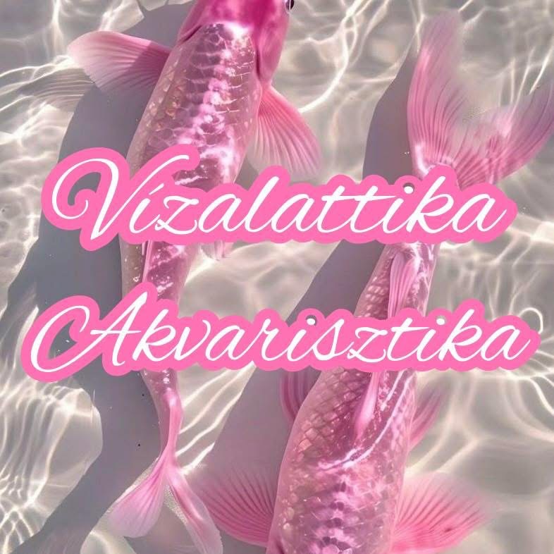 Vízalattika Akvarisztika